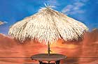 506sp Umbrella Cover palm leaf thatching approximately. 9� diameter with FREE SHIPPING