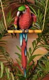 8110 Red Macaw