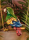 8150 Parrot