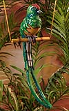 8160 Quetzal